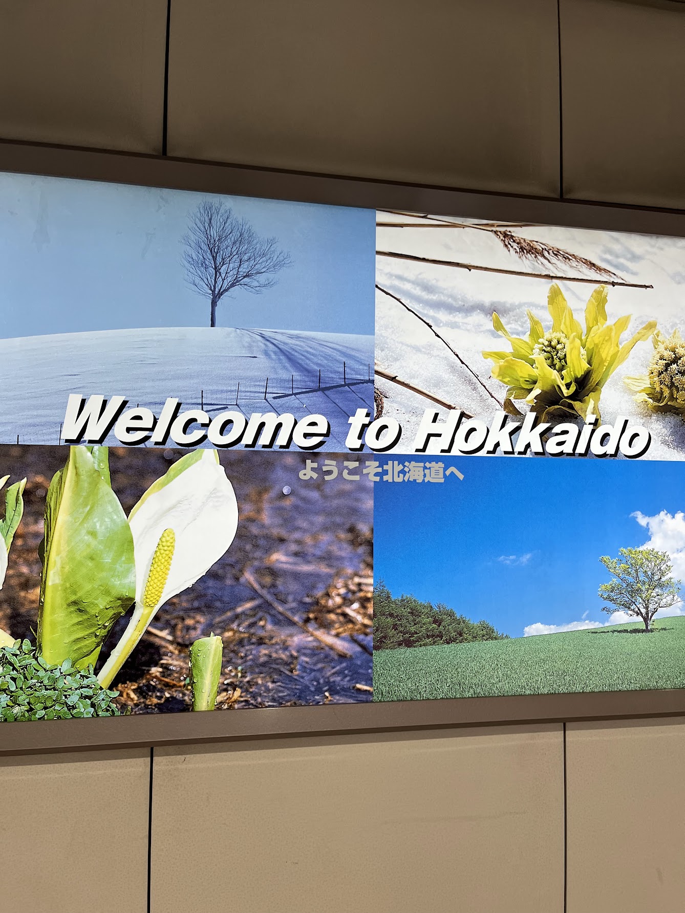 Welcome to Hokkaido ようこそ北海道へ